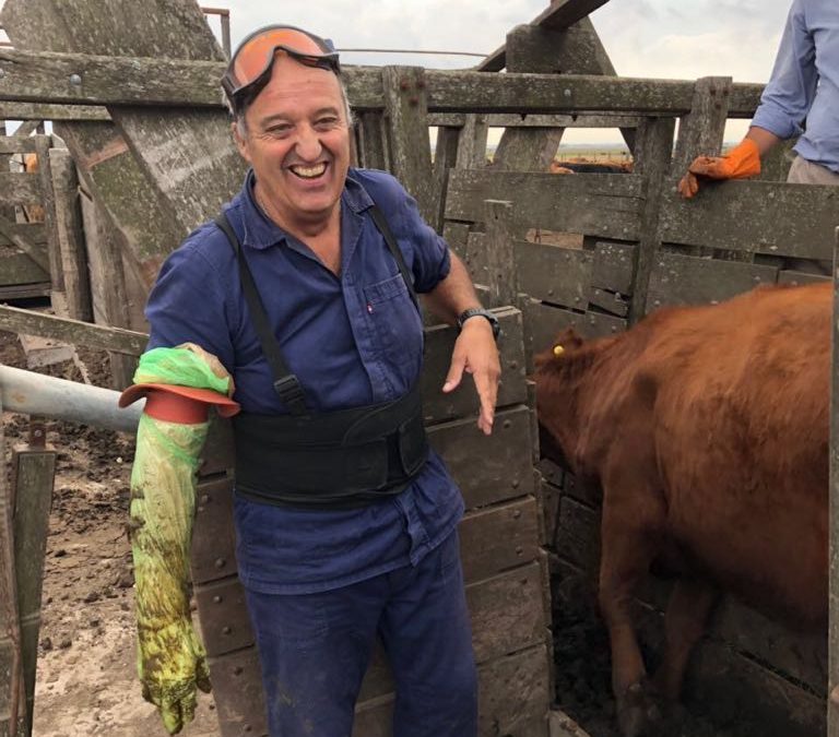 Tacto en Juan N. Fernandez (partido de Necochea 17/04/2018) 1.300 vacas