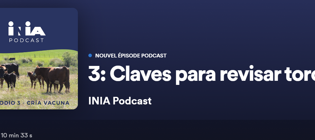 Claves para revisar toros: podcast audio sin video hecho por INIA en Treinta y Tres